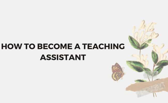 become a teaching assistant in Spain