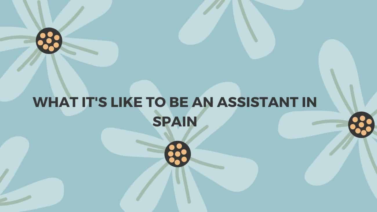 what an assistant in spain does